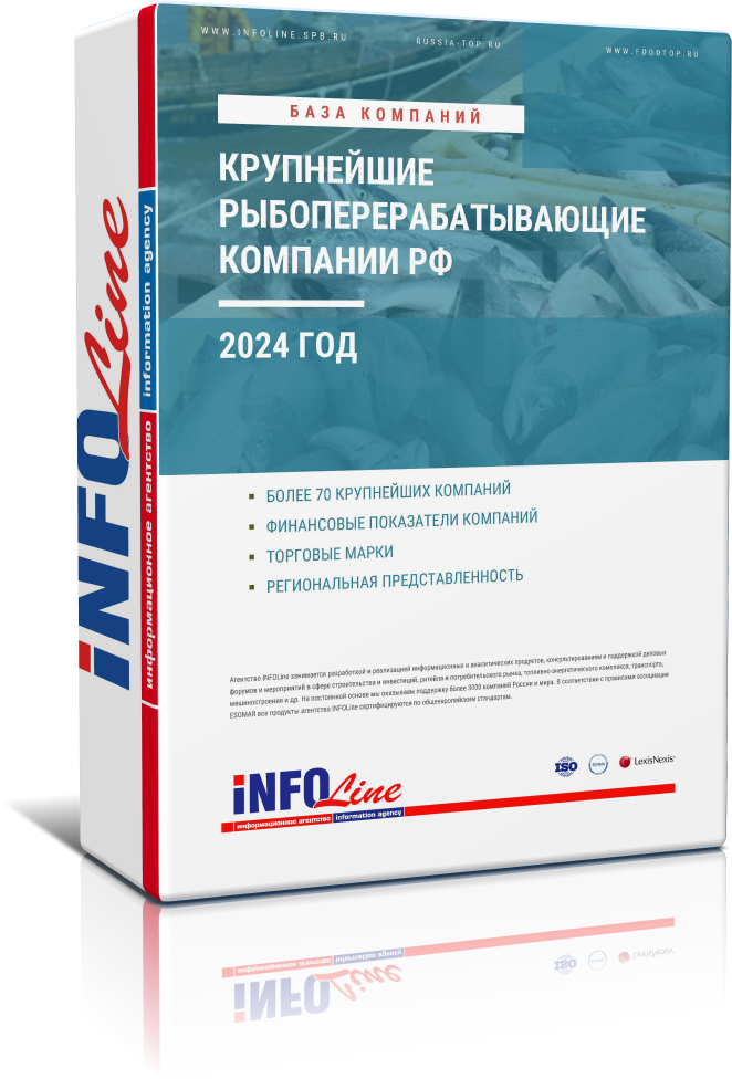 "    : 2024 "